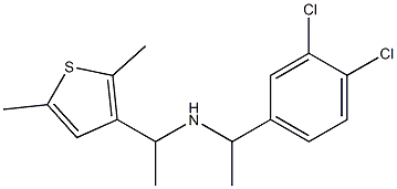 [1-(3,4-dichlorophenyl)ethyl][1-(2,5-dimethylthiophen-3-yl)ethyl]amine Struktur