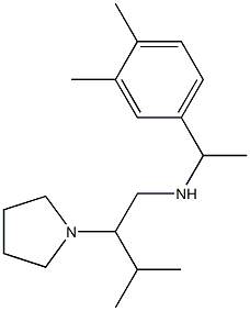 [1-(3,4-dimethylphenyl)ethyl][3-methyl-2-(pyrrolidin-1-yl)butyl]amine Struktur