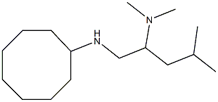 [1-(cyclooctylamino)-4-methylpentan-2-yl]dimethylamine Struktur