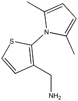 [2-(2,5-dimethyl-1H-pyrrol-1-yl)thien-3-yl]methylamine Struktur