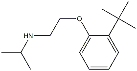 [2-(2-tert-butylphenoxy)ethyl](propan-2-yl)amine Struktur