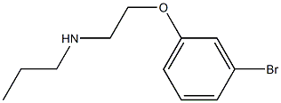 [2-(3-bromophenoxy)ethyl](propyl)amine Struktur