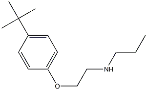 [2-(4-tert-butylphenoxy)ethyl](propyl)amine Struktur