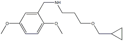 [3-(cyclopropylmethoxy)propyl][(2,5-dimethoxyphenyl)methyl]amine Struktur