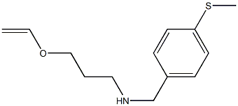 [3-(ethenyloxy)propyl]({[4-(methylsulfanyl)phenyl]methyl})amine Struktur