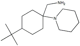 [4-tert-butyl-1-(piperidin-1-yl)cyclohexyl]methanamine Struktur