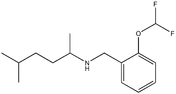 {[2-(difluoromethoxy)phenyl]methyl}(5-methylhexan-2-yl)amine Struktur