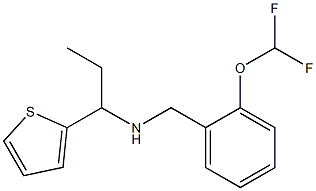 {[2-(difluoromethoxy)phenyl]methyl}[1-(thiophen-2-yl)propyl]amine Struktur