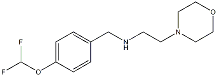 {[4-(difluoromethoxy)phenyl]methyl}[2-(morpholin-4-yl)ethyl]amine Struktur