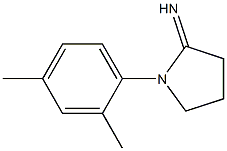 1-(2,4-dimethylphenyl)pyrrolidin-2-imine Struktur