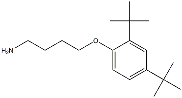 1-(4-aminobutoxy)-2,4-di-tert-butylbenzene Struktur