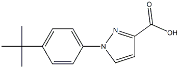 1-(4-tert-butylphenyl)-1H-pyrazole-3-carboxylic acid Struktur