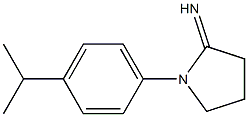 1-[4-(propan-2-yl)phenyl]pyrrolidin-2-imine Struktur