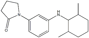 1-{3-[(2,6-dimethylcyclohexyl)amino]phenyl}pyrrolidin-2-one Struktur