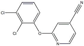 2-(2,3-dichlorophenoxy)isonicotinonitrile Struktur