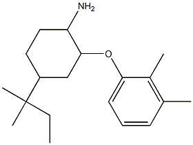 2-(2,3-dimethylphenoxy)-4-(2-methylbutan-2-yl)cyclohexan-1-amine Struktur