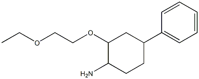 2-(2-ethoxyethoxy)-4-phenylcyclohexan-1-amine Struktur