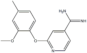 2-(2-methoxy-4-methylphenoxy)pyridine-4-carboximidamide Struktur