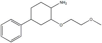 2-(2-methoxyethoxy)-4-phenylcyclohexan-1-amine Struktur