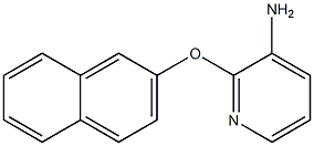 2-(2-naphthyloxy)pyridin-3-amine Struktur