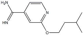 2-(3-methylbutoxy)pyridine-4-carboximidamide Struktur