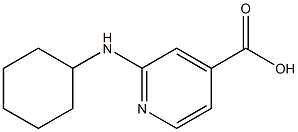 2-(cyclohexylamino)pyridine-4-carboxylic acid Struktur