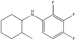 2,3,4-trifluoro-N-(2-methylcyclohexyl)aniline Struktur