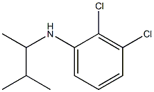 2,3-dichloro-N-(3-methylbutan-2-yl)aniline Struktur