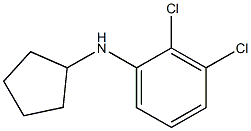 2,3-dichloro-N-cyclopentylaniline Struktur