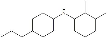 2,3-dimethyl-N-(4-propylcyclohexyl)cyclohexan-1-amine Struktur