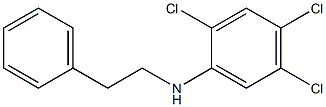 2,4,5-trichloro-N-(2-phenylethyl)aniline Struktur