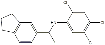 2,4,5-trichloro-N-[1-(2,3-dihydro-1H-inden-5-yl)ethyl]aniline Struktur