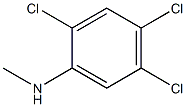 2,4,5-trichloro-N-methylaniline Struktur