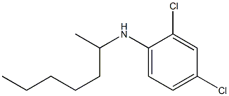 2,4-dichloro-N-(heptan-2-yl)aniline Struktur