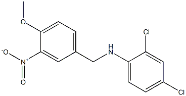 2,4-dichloro-N-[(4-methoxy-3-nitrophenyl)methyl]aniline Struktur