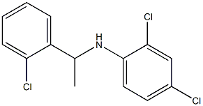 2,4-dichloro-N-[1-(2-chlorophenyl)ethyl]aniline Struktur