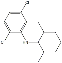 2,5-dichloro-N-(2,6-dimethylcyclohexyl)aniline Struktur