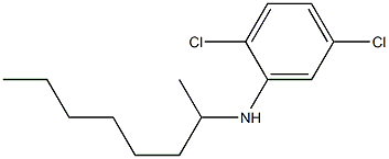 2,5-dichloro-N-(octan-2-yl)aniline Struktur