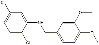 2,5-dichloro-N-[(3,4-dimethoxyphenyl)methyl]aniline Struktur