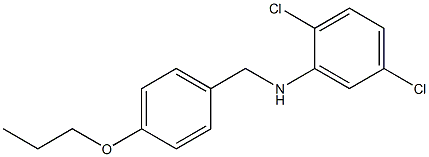 2,5-dichloro-N-[(4-propoxyphenyl)methyl]aniline Struktur