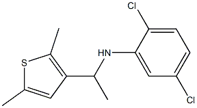 2,5-dichloro-N-[1-(2,5-dimethylthiophen-3-yl)ethyl]aniline Struktur