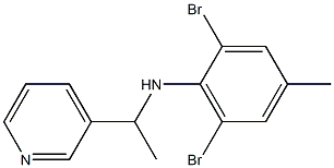 2,6-dibromo-4-methyl-N-[1-(pyridin-3-yl)ethyl]aniline Struktur