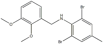 2,6-dibromo-N-[(2,3-dimethoxyphenyl)methyl]-4-methylaniline Struktur