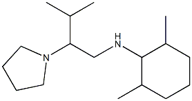 2,6-dimethyl-N-[3-methyl-2-(pyrrolidin-1-yl)butyl]cyclohexan-1-amine Struktur