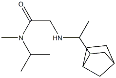 2-[(1-{bicyclo[2.2.1]heptan-2-yl}ethyl)amino]-N-methyl-N-(propan-2-yl)acetamide Struktur