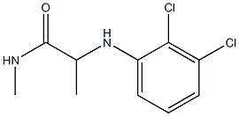 2-[(2,3-dichlorophenyl)amino]-N-methylpropanamide Struktur