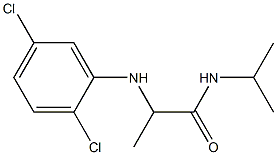 2-[(2,5-dichlorophenyl)amino]-N-(propan-2-yl)propanamide Struktur