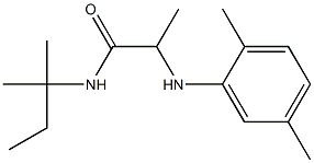 2-[(2,5-dimethylphenyl)amino]-N-(2-methylbutan-2-yl)propanamide Struktur