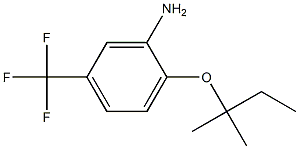 2-[(2-methylbutan-2-yl)oxy]-5-(trifluoromethyl)aniline Struktur