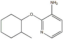 2-[(2-methylcyclohexyl)oxy]pyridin-3-amine Struktur